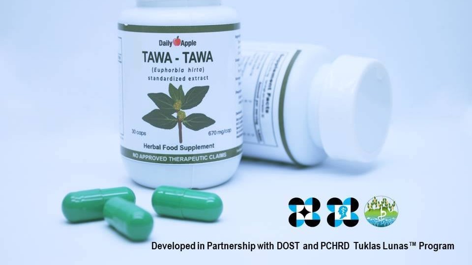 ‘Tawa-tawa’ no dengue cure — DoH