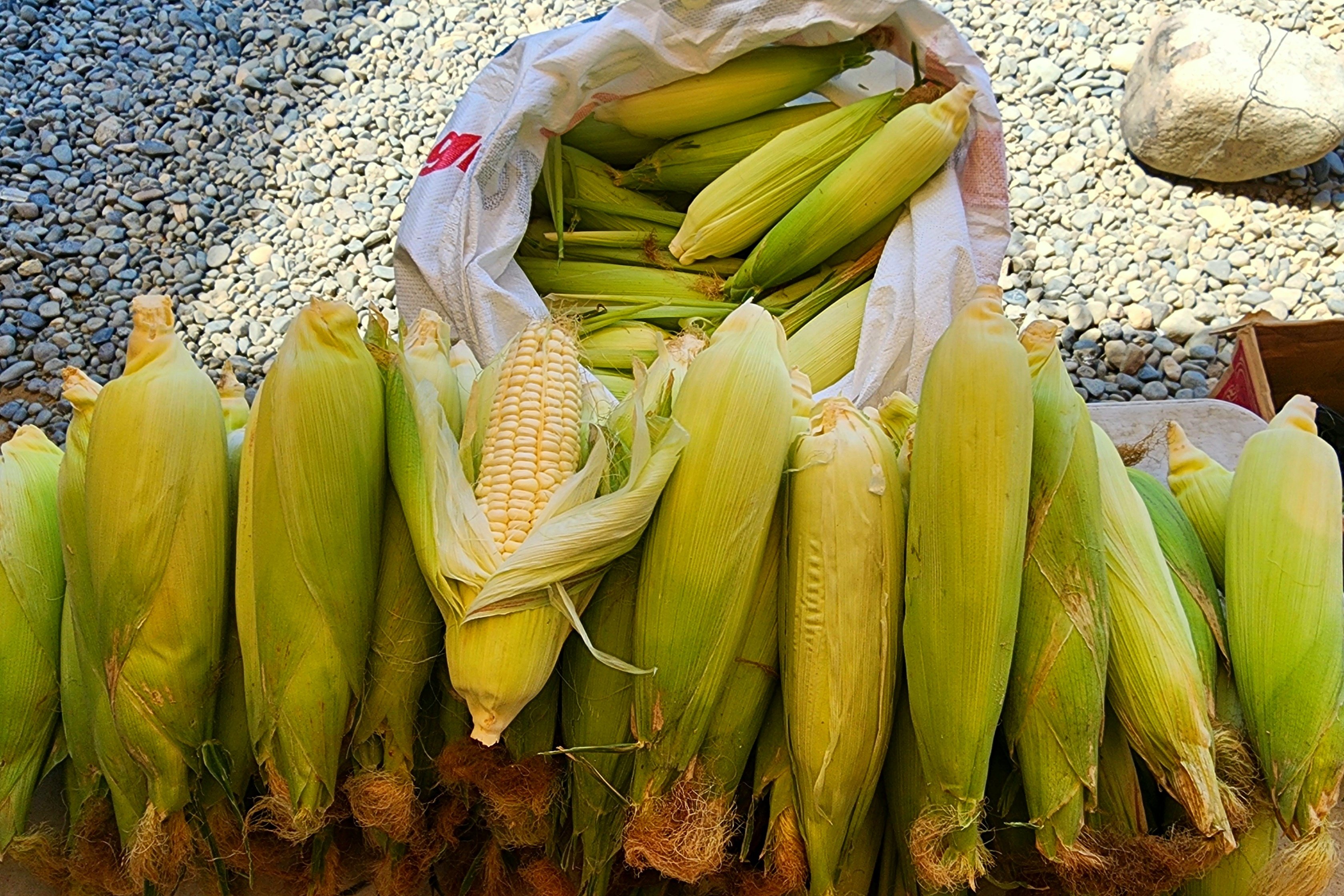 Steamed corn being sold by the roadside.