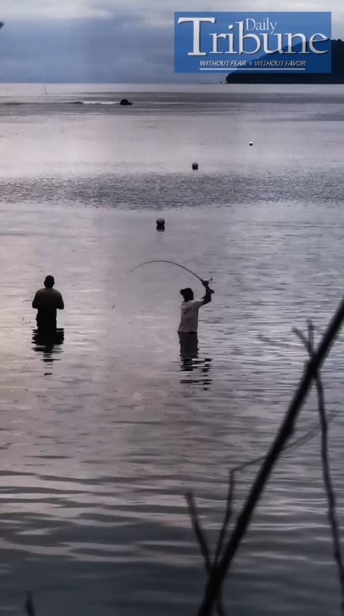TRIBUNE-menfishing
