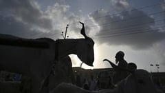 Hajj pilgrims 'stone the devil' as Muslims mark Eid al-Adha