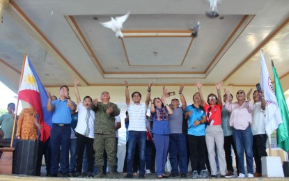 2 Samar towns declared stable