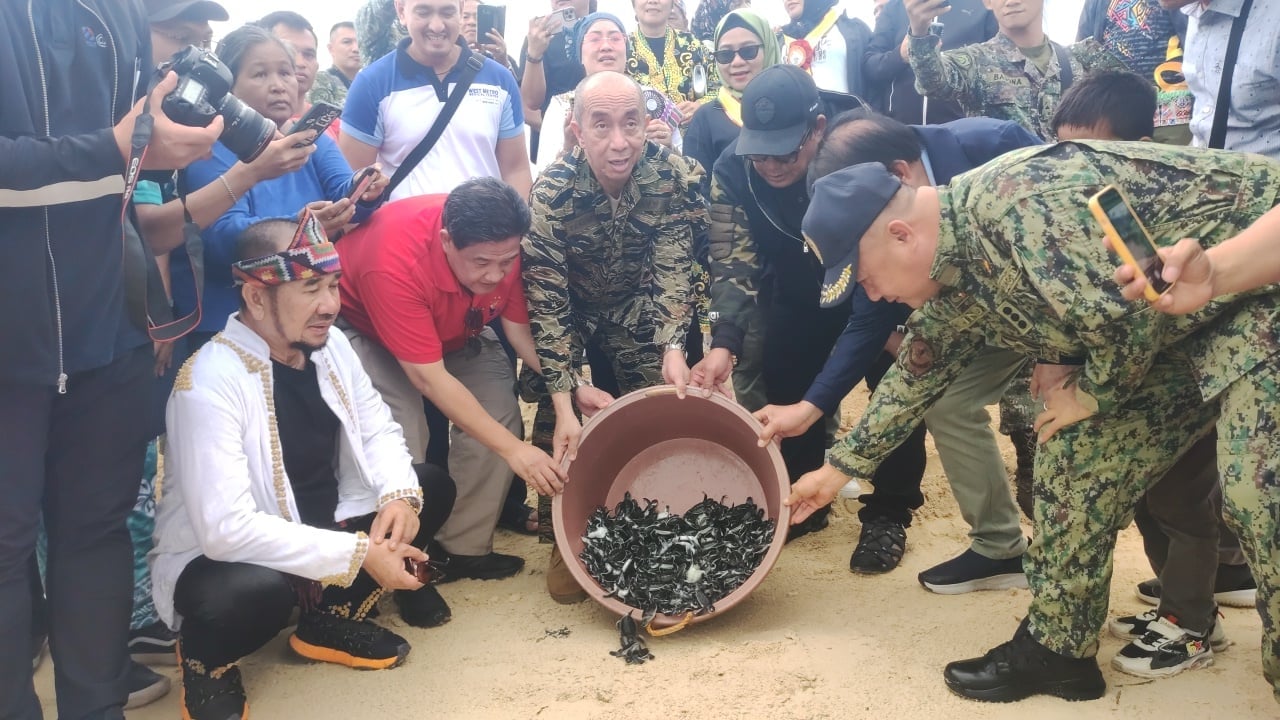 Turtle Day in Tawi-Tawi