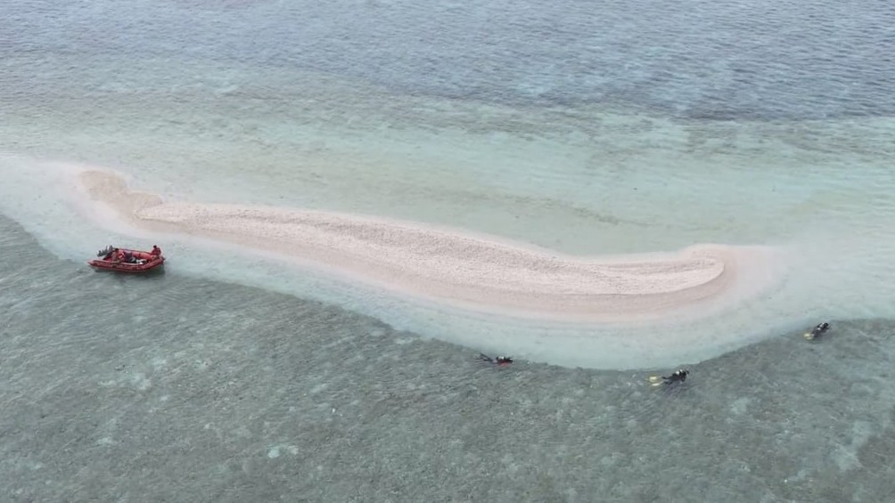Escoda Shoal faces 'ecological disaster' with nearly 100% coral loss — experts