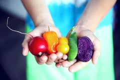 Emerging technologies that may make food available — to all