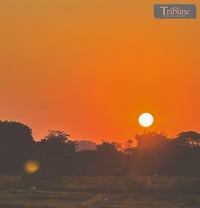 TRIBUNE-sunset