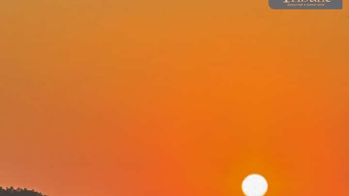 TRIBUNE-sunset