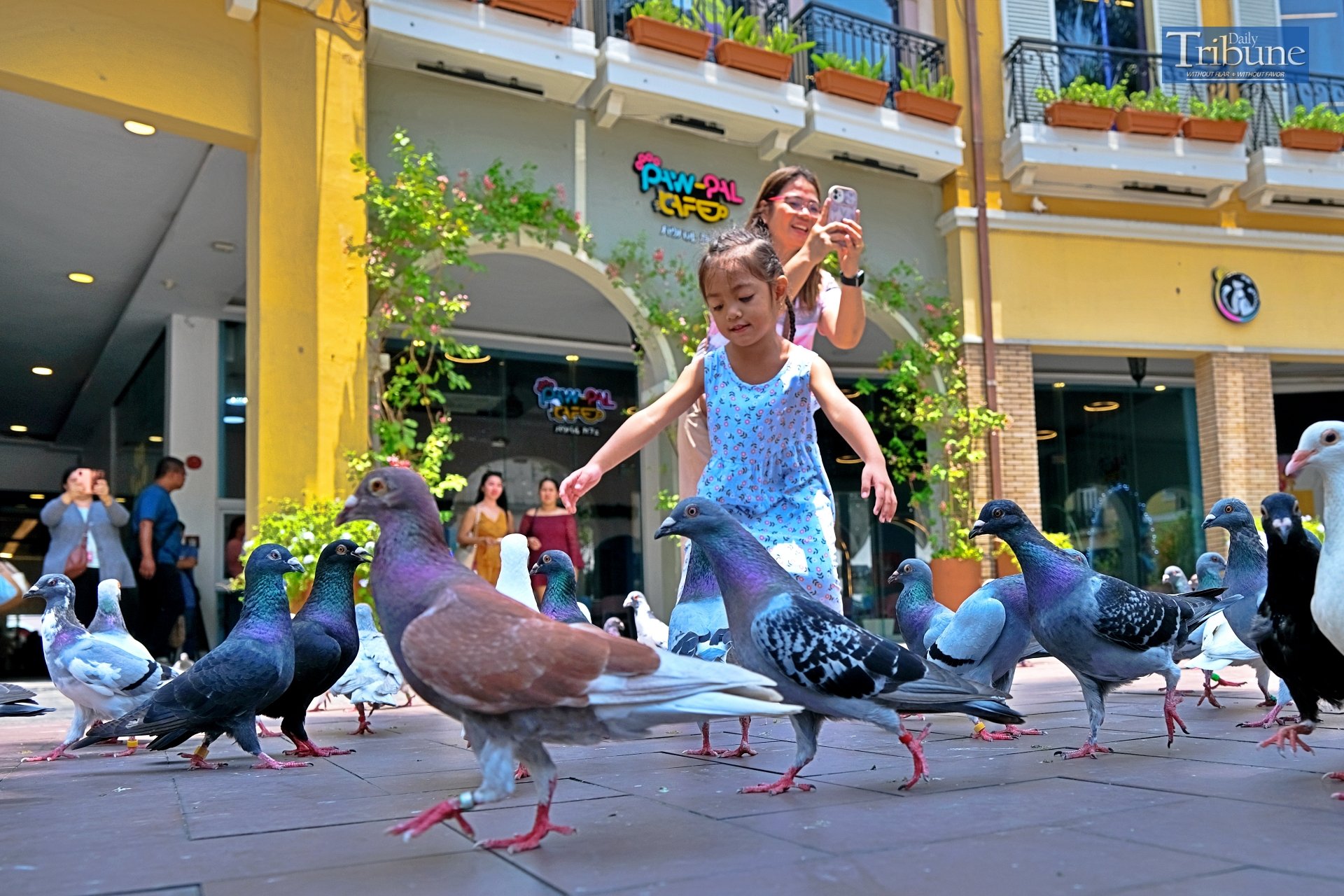 Mallgoers are seen having fun with pigeons inside the Venice Mall at BGC in Taguig City on Sunday.