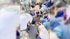 Spirit of Eid al-Adha resonates in climate action