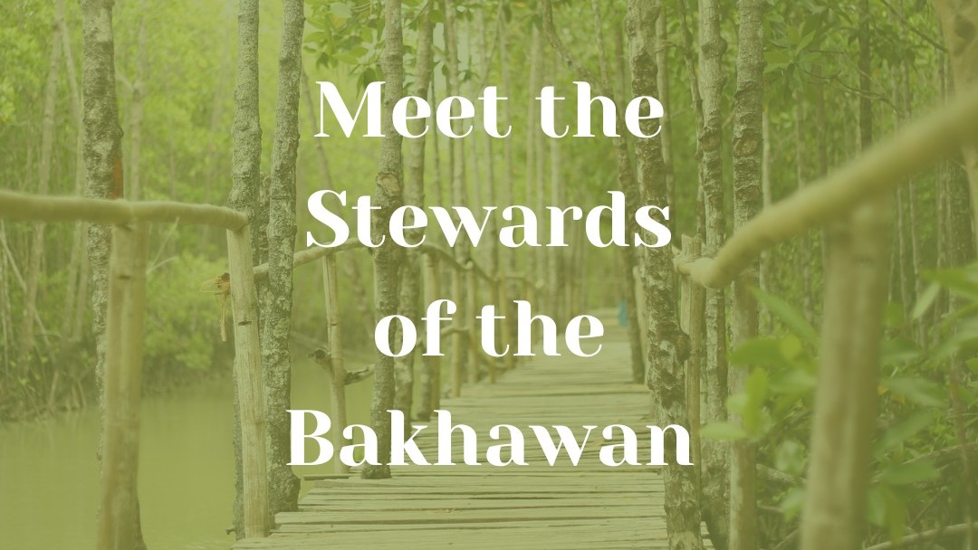 Meet the bakhawan stewards: Champions in preserving mangrove forests across Phl