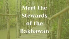 Meet the bakhawan stewards: Champions in preserving mangrove forests across Phl
