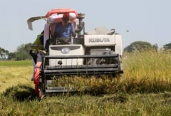 Rice tariff cut formalized