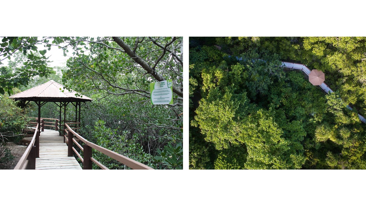 Mangrove boardwalk. Visitors of Aboitiz Cleanergy Park can tour the site’s mangrove reforestation site and coastal forest — home to 108 different bird species — and, at the right timing, maybe even participate in the release of sea turtle hatchlings on its beach.