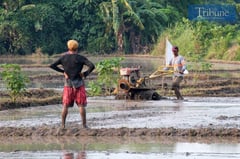 Solon seeks gov’t action to looming droughts from El Niño