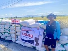 Agritech multiplies grain harvest