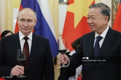 Senior US official to make Vietnam visit, following Putin