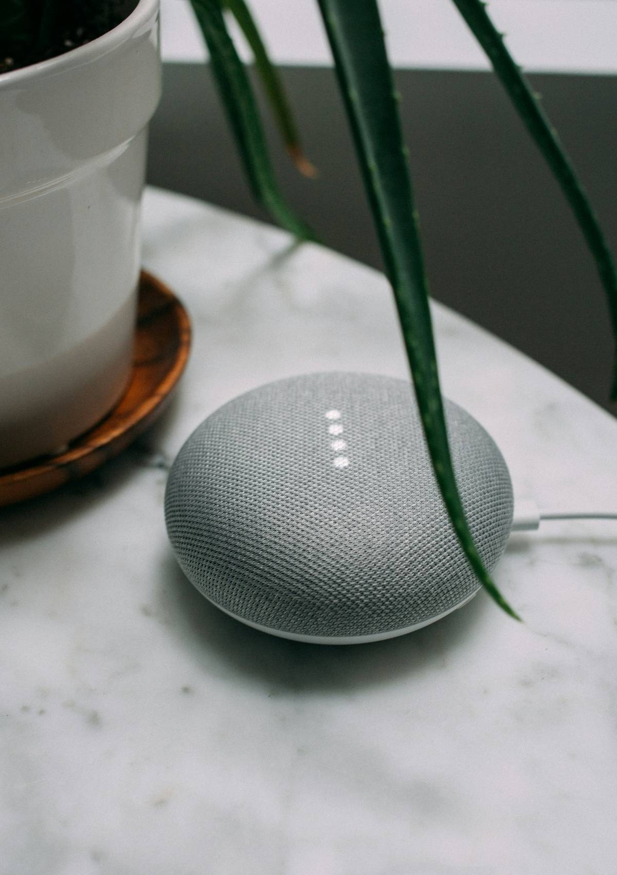 SMART speaker.