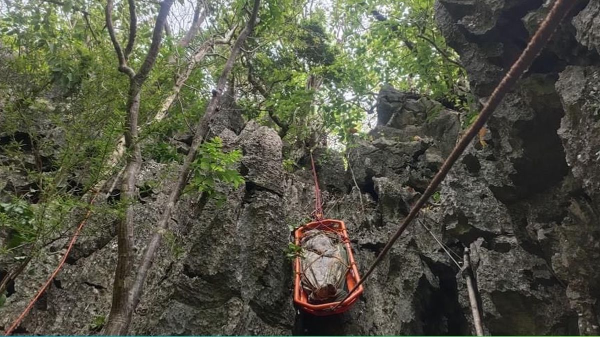 In this photo, the body of the deceased busyador (bird's nest gatherer) is carefully lowered from the steep terrain of a cave on Tapiutan Island, El Nido, Palawan.