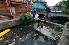 WED: CCC pushes collective
action vs ecological degradation