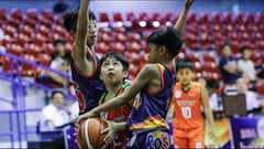 Stalwarts sweeps Batang PBA elims