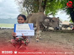 Cash and carabaos for Aeta families