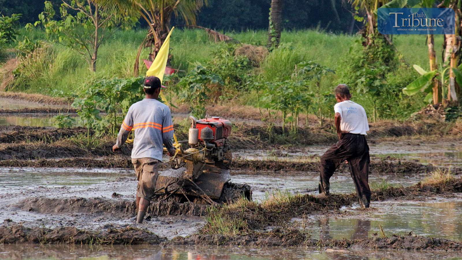 DA to roll out fuel subsidies for 45K farmers, fisherfolk