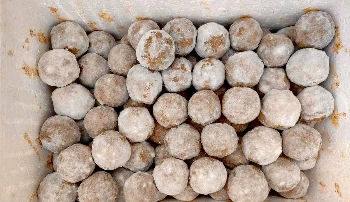 BOKASHI balls are made up of beneficial bacteria that fights bacterial pollutants in river water.
