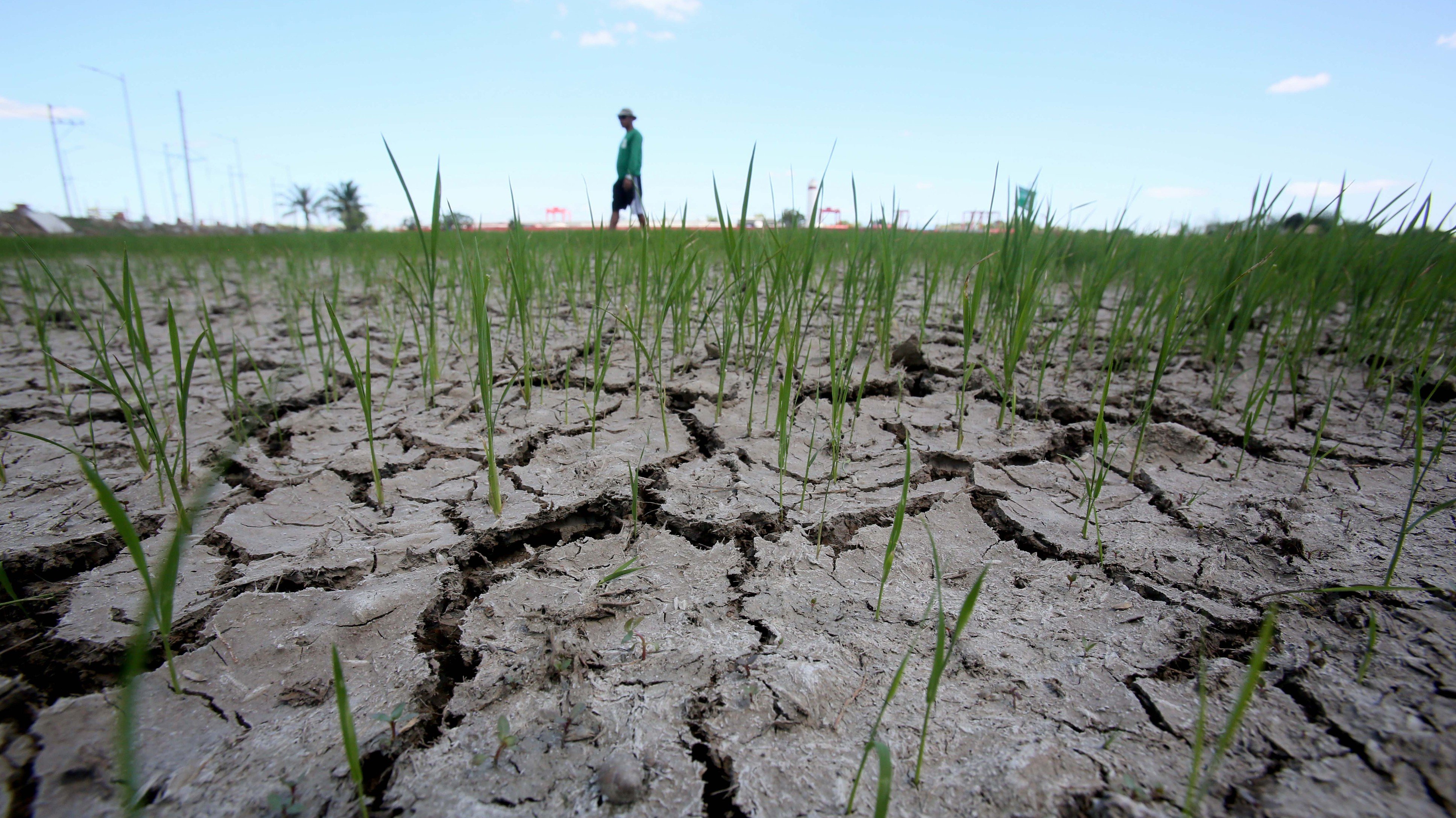 Expanding stakeholder participation
in transformative climate action: COOPeration is key