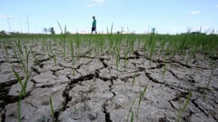 CCC urges efficient land restoration, water management

