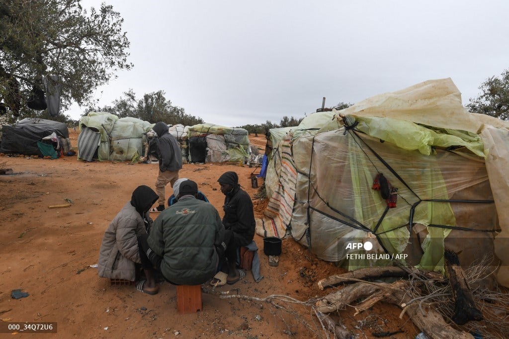 Migrant repatriations in Tunisia surging in 2024: IOM
