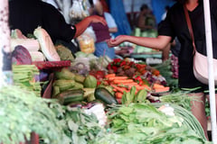 Food stamp rolls out