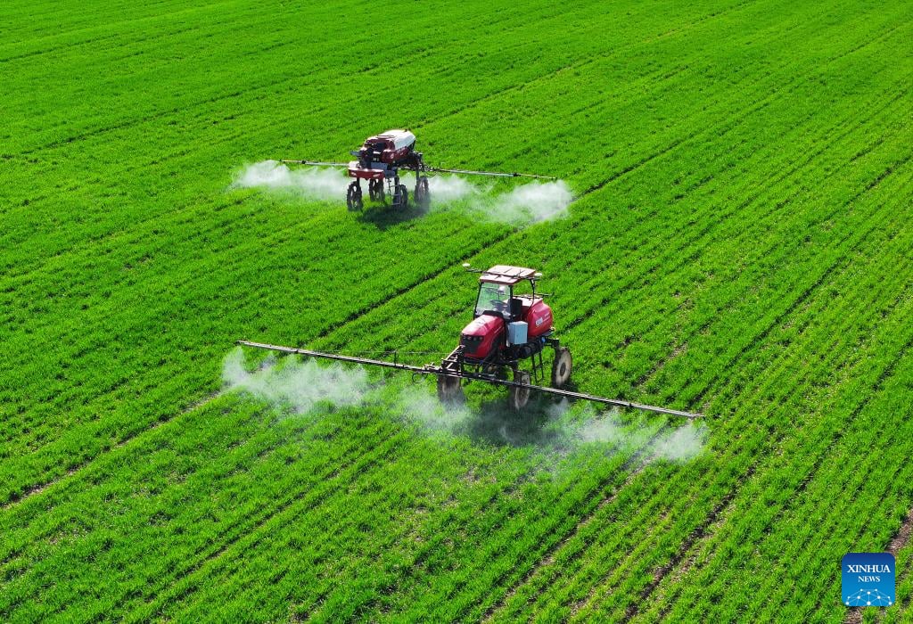 Seeds of change: AI-powered farms