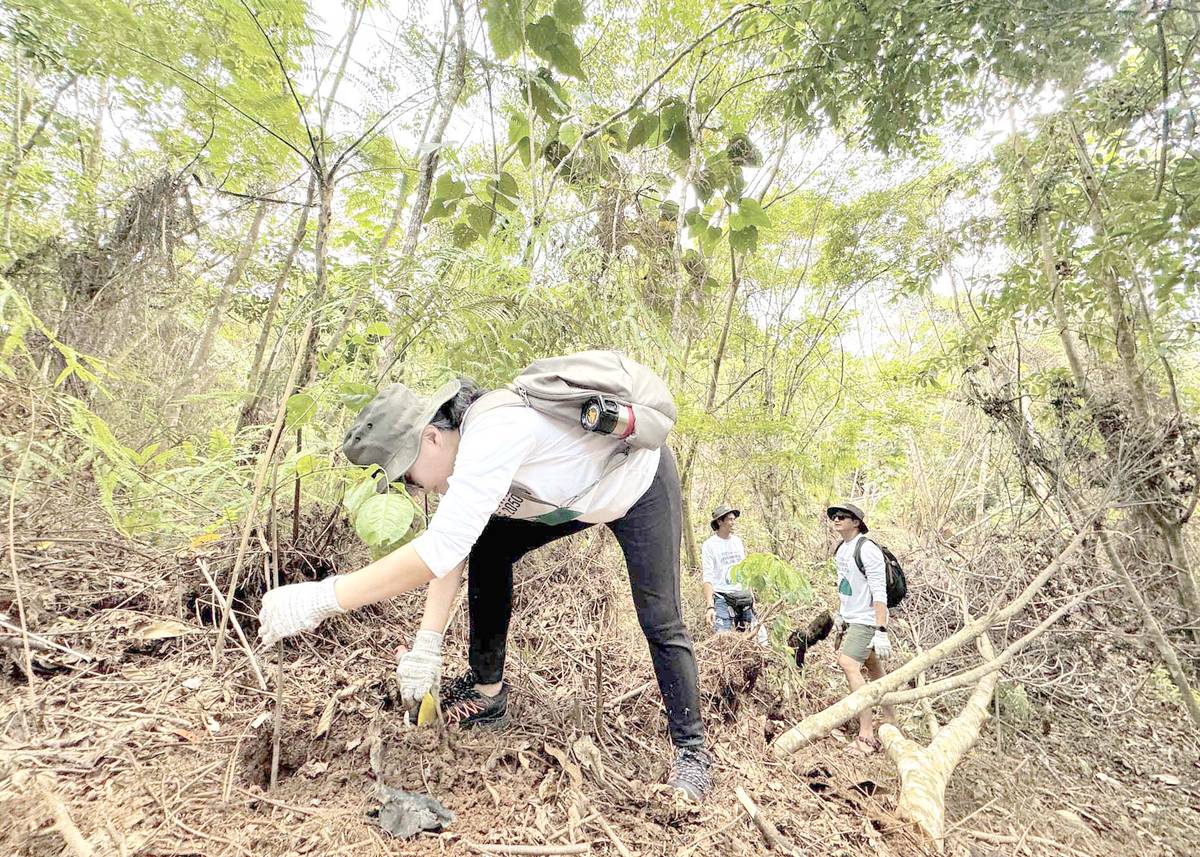 Planting trees are a very delicate endeavor.