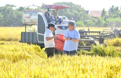 PBBM’s priority programs focus on improving Filipinos’ lives
