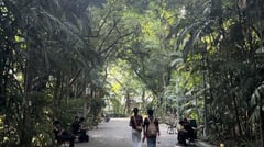 National reforestation efforts boosted