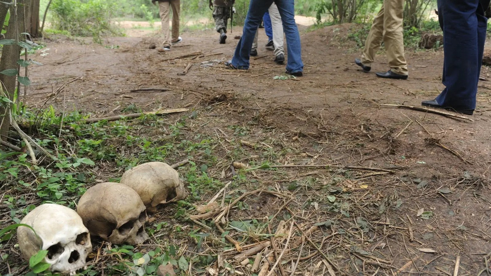 Police say the remains are being examined to determine when they may have been buried.