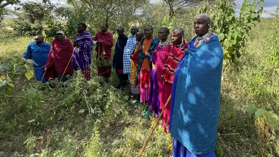 Tanzania gov’t evicting 82,000 Maasai from UNESCO site
