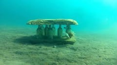 More artificial reefs installed at Macajalar Bay