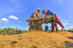 Sowing prosperity: DA’s evolving plan
to boost agriculture