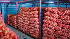 Smuggled onions, carrots worth P21-M seized at Subic