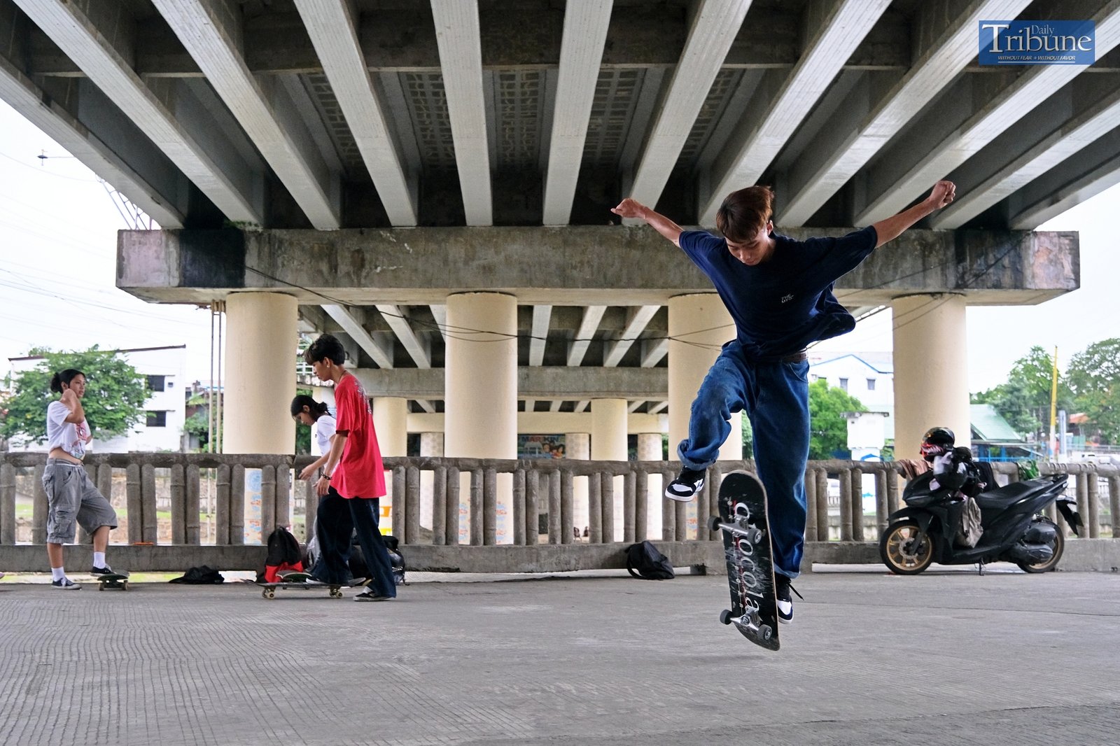 TRIBUNE-skateboarding