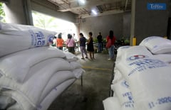 KADIWA RICE AT P29/KILO