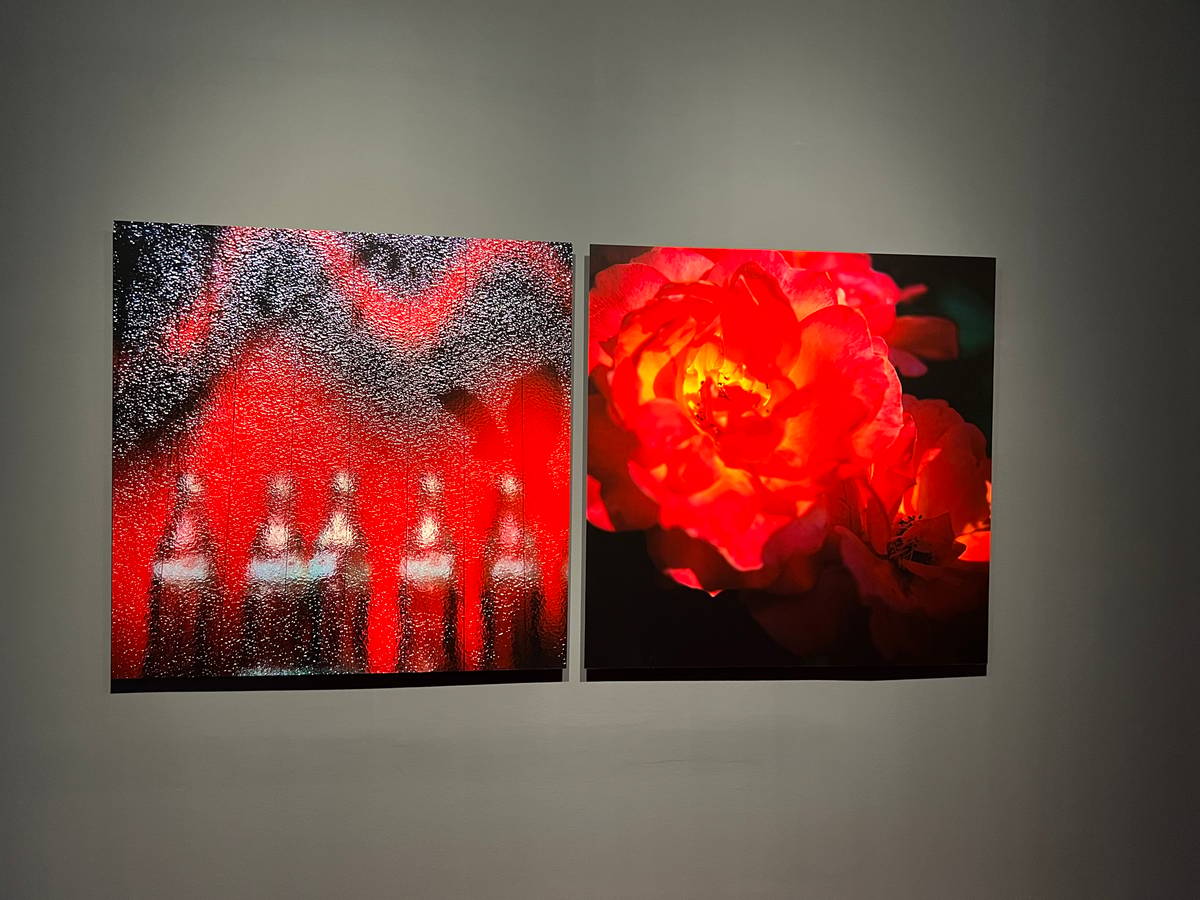 Coca on fire, 2008/2024.