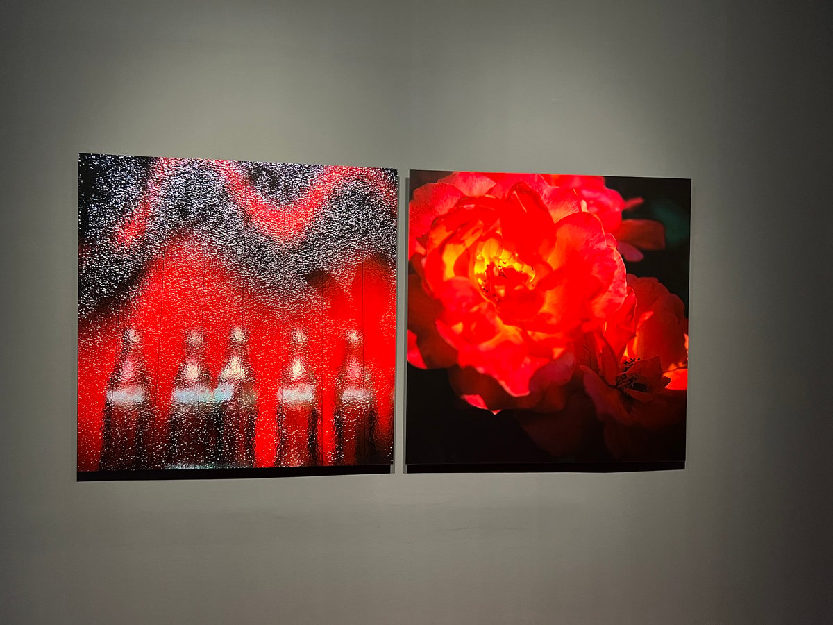 Coca on fire, 2008/2024.