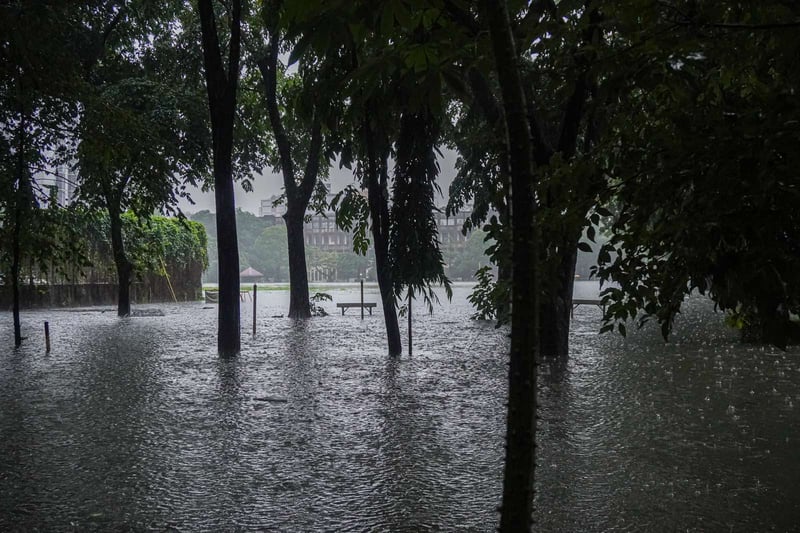 MTFI pushes national million trees program for watershed restoration