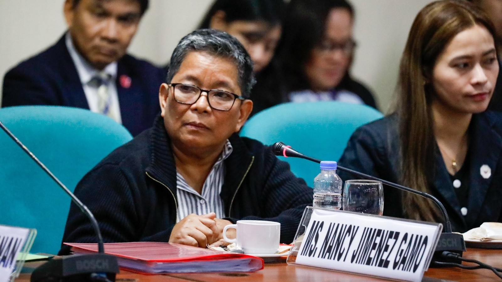 Senate releases Guo’s accountant