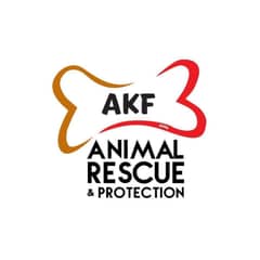 AKF rescues six abandoned dogs from SMC project site