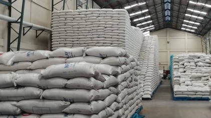 rice