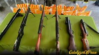 6 BIFF fighters yield, turn over arms