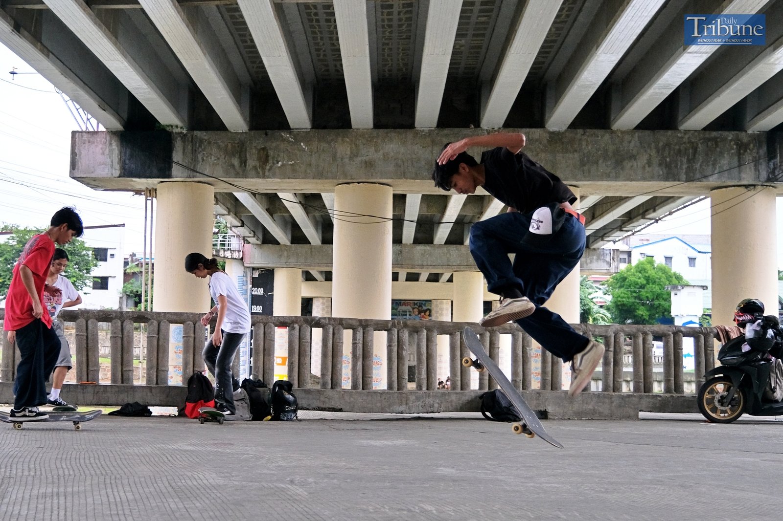 TRIBUNE-skateboarding