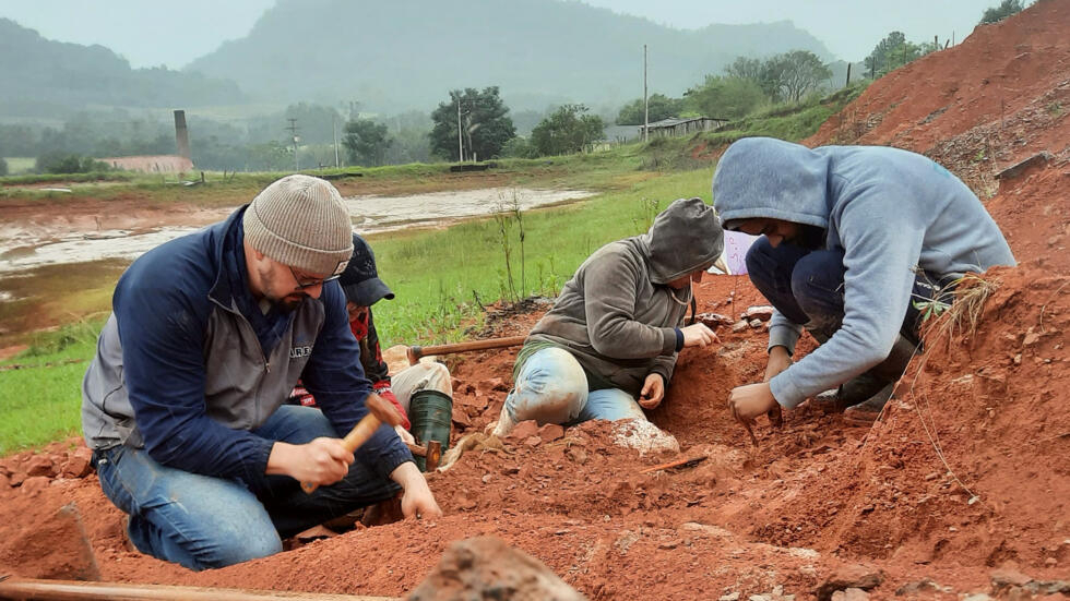 ‘Well-preserved’ dinosaur fossil revealed by Brazilian flood
